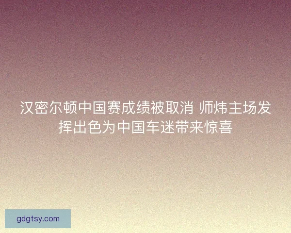 汉密尔顿中国赛成绩被取消 师炜主场发挥出色为中国车迷带来惊喜